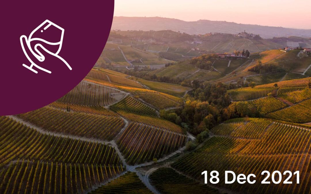 Piedmont, UNESCO heritage wineyards